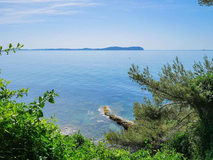 Maisonnette Avec Vue Sur La Mer Exceptionnelle Carqueiranne Dış mekan fotoğraf