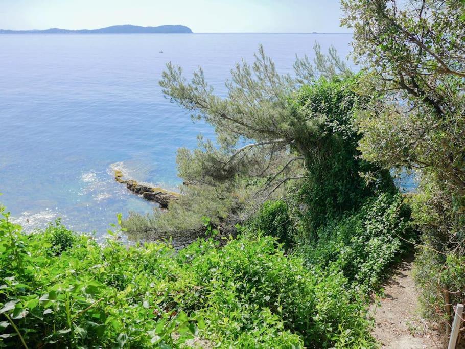 Maisonnette Avec Vue Sur La Mer Exceptionnelle Carqueiranne Dış mekan fotoğraf