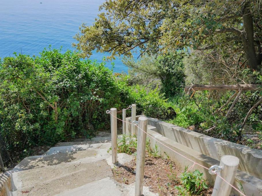 Maisonnette Avec Vue Sur La Mer Exceptionnelle Carqueiranne Dış mekan fotoğraf